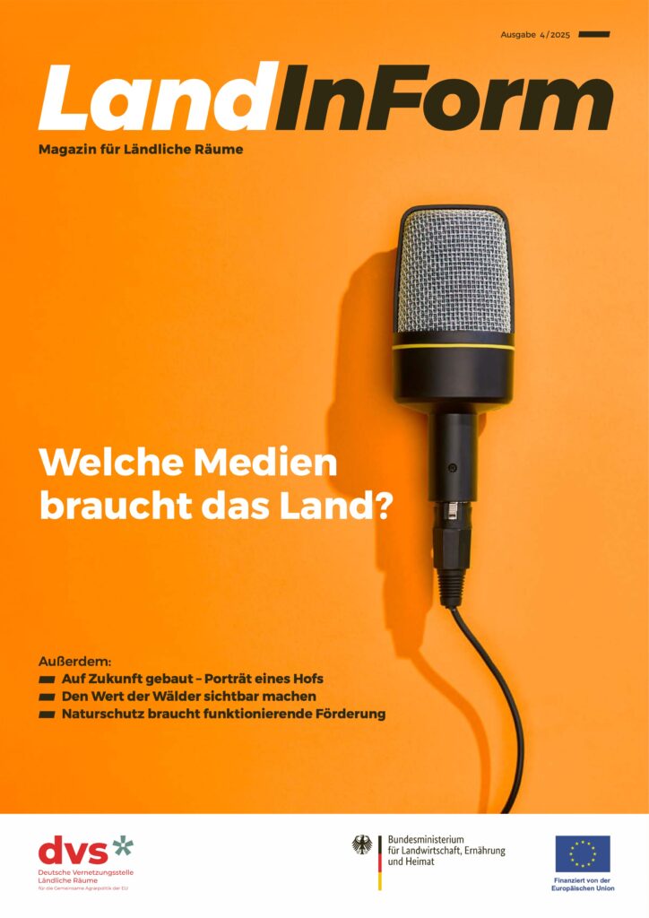 4.25 Welche Medien braucht das Land?